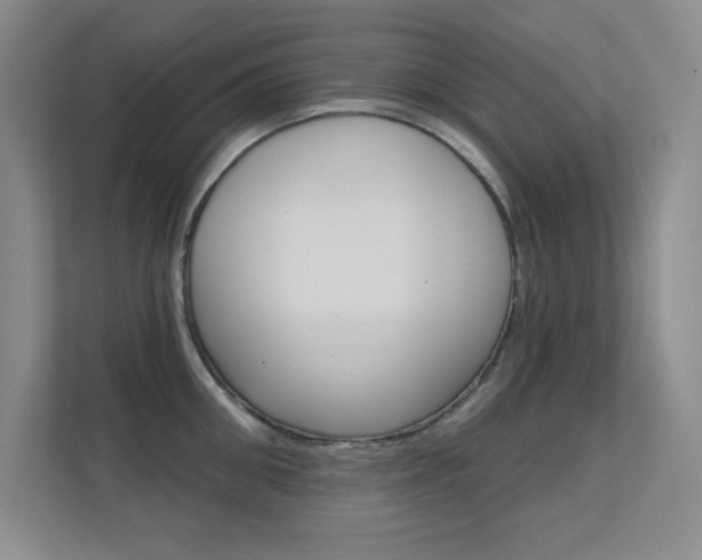 X0000112390906200908131341