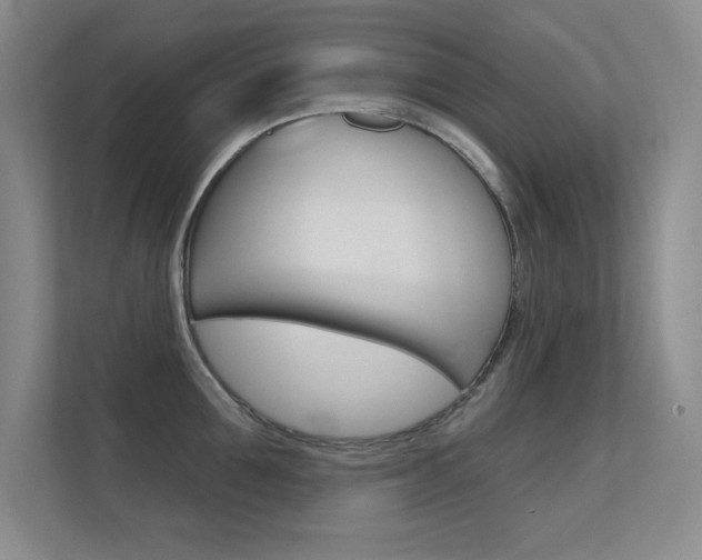 X0000112390907200908131341