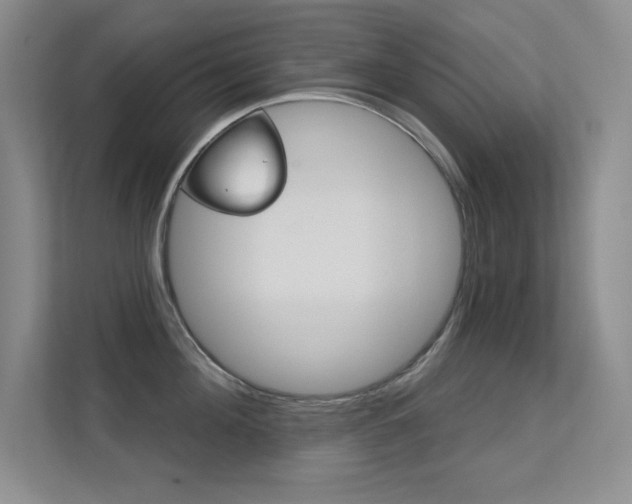 X0000112390908200908131341