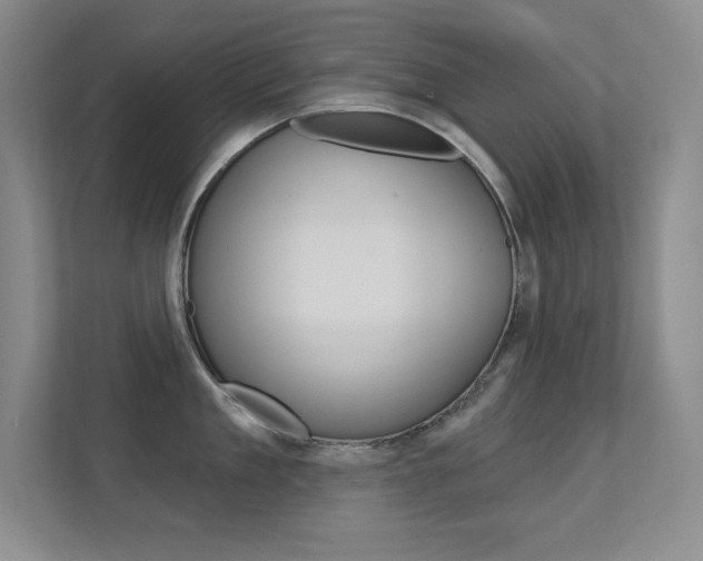 X0000112390909200908131341