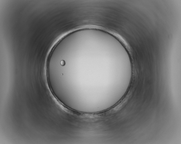 X0000112390910200908131341