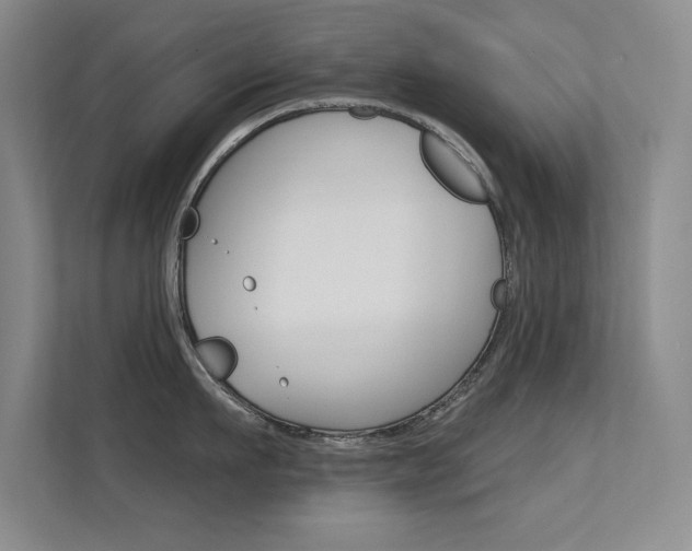 X0000112390911200908131341