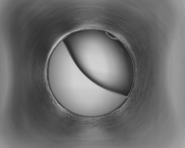 X0000112390912200908131341