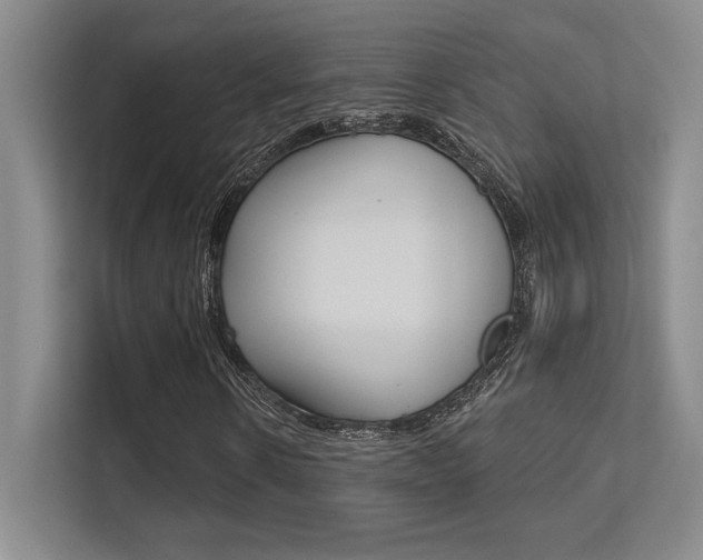 X0000112390914200908131340