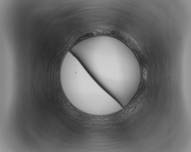 X0000112390915200908131340