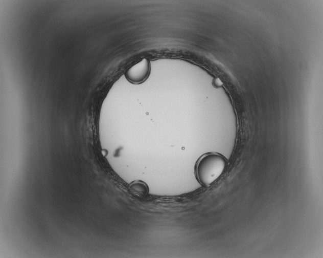 X0000112390918200908131340