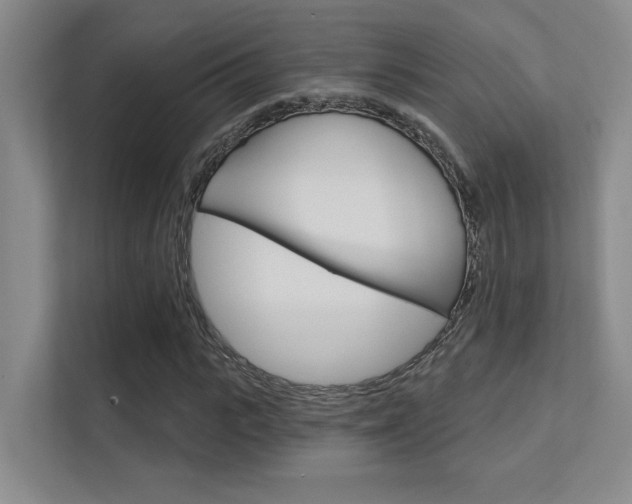 X0000112390919200908131341