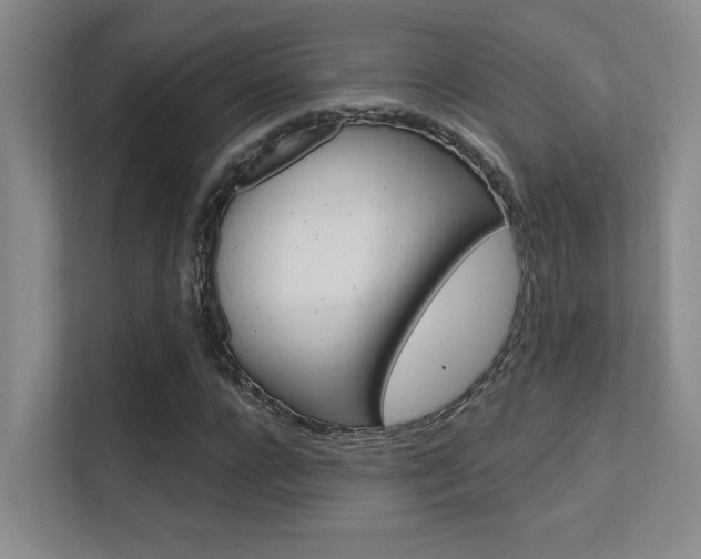 X0000112390920200908131341