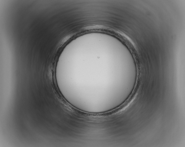 X0000112390921200908131341