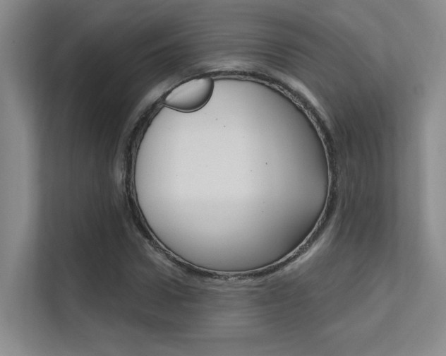 X0000112390922200908131341
