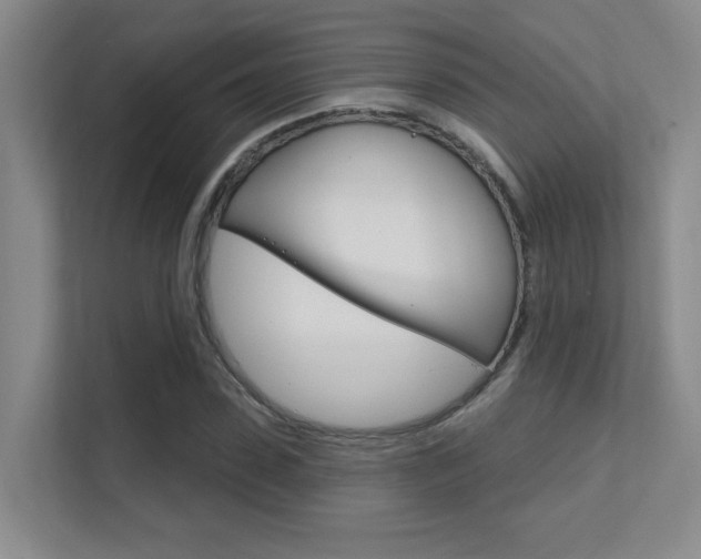 X0000112390923200908131341