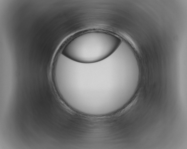 X0000112390924200908131341
