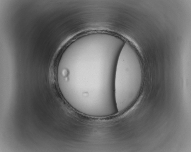 X0000112390925200908131341