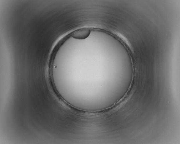 X0000112390928200908131341