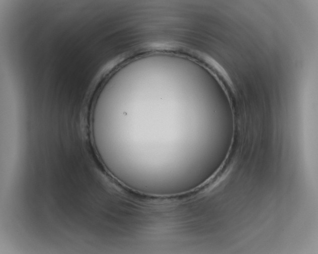 X0000112390930200908131341