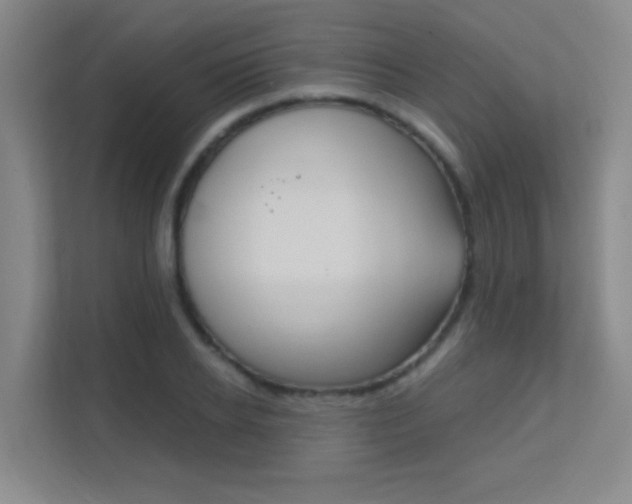 X0000112390934200908131341