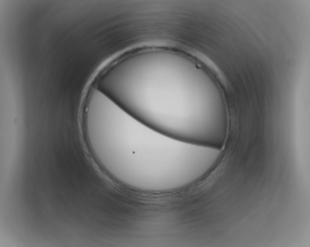 X0000112390935200908131341