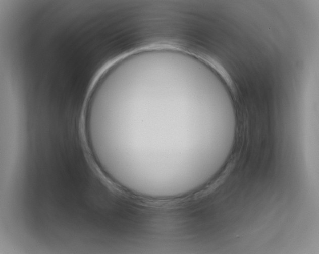 X0000112390936200908131341
