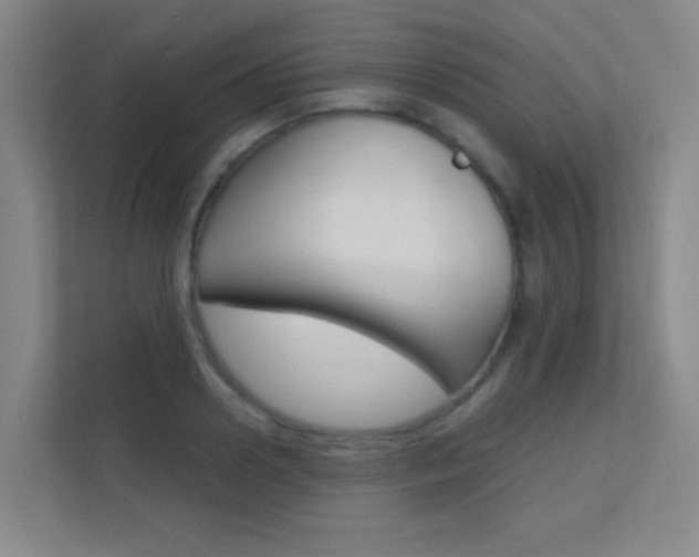 X0000112390938200908131341