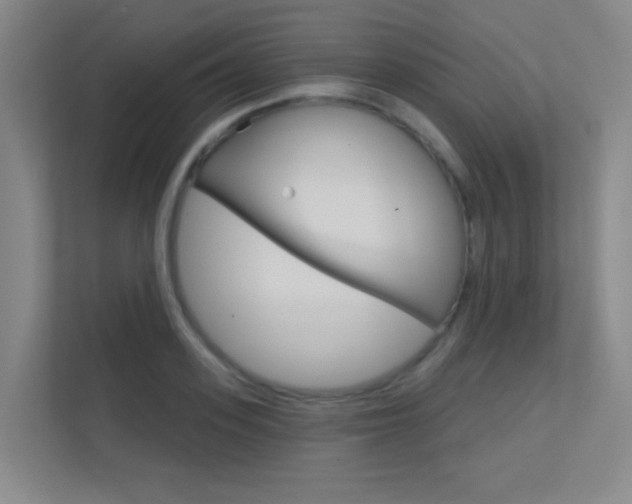 X0000112390939200908131341