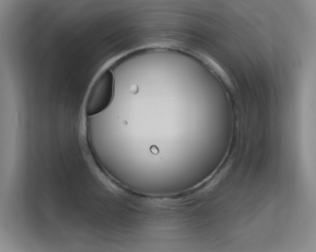 X0000112390940200908131341