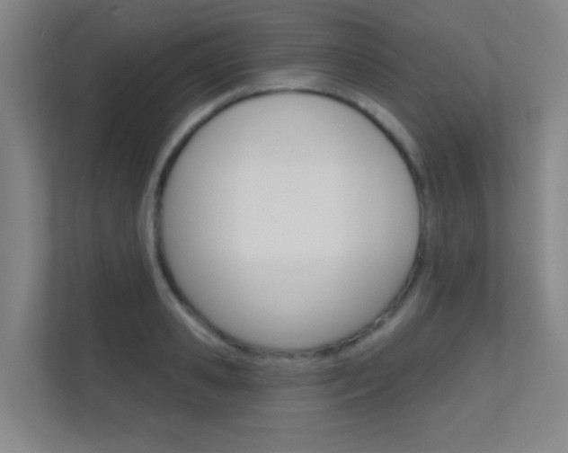 X0000112390941200908131341