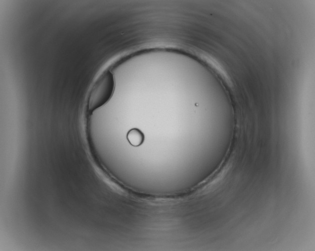 X0000112390942200908131341