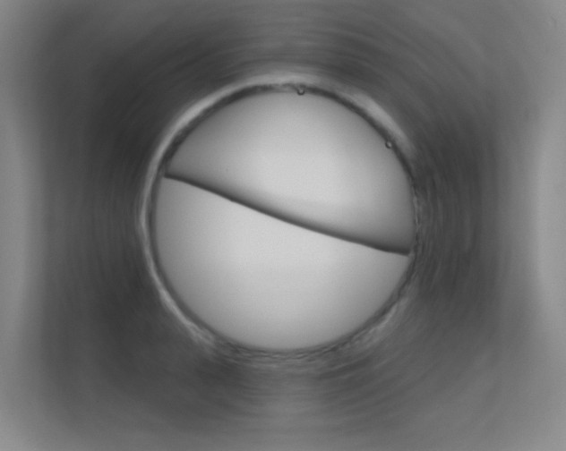 X0000112390943200908131341