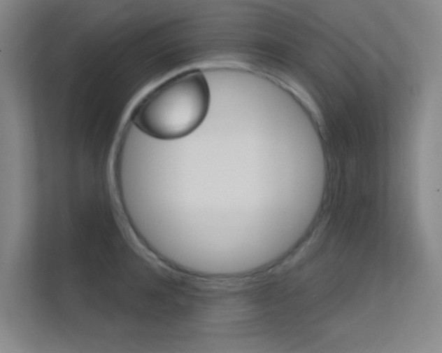 X0000112390944200908131341