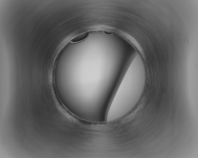 X0000112390946200908131341