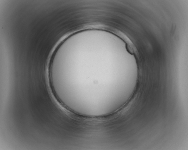 X0000112390947200908131341