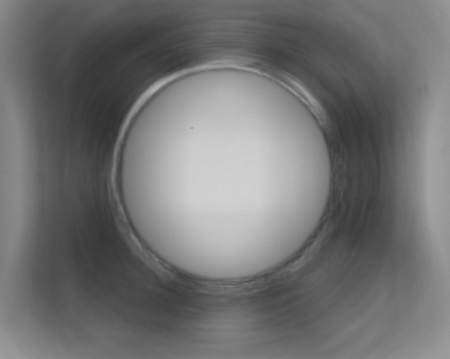X0000112390948200908131341
