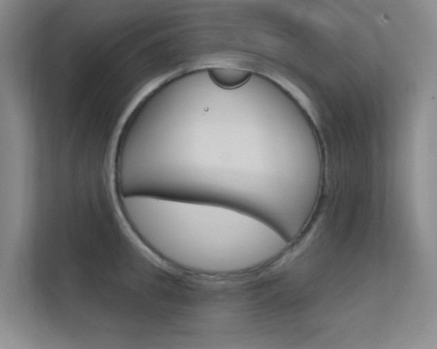 X0000112390949200908131341