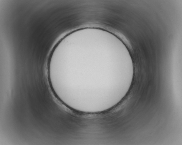 X0000112390950200908131341