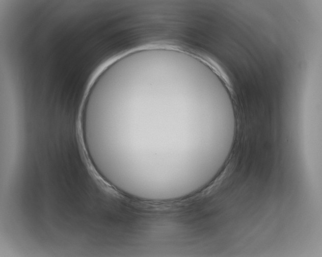 X0000112390952200908131341