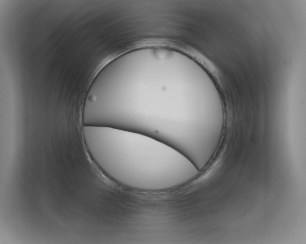 X0000112390953200908131341