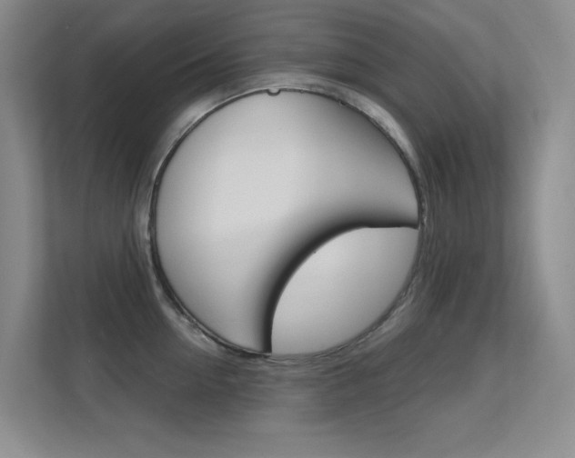 X0000112390954200908131341