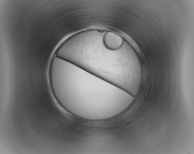 X0000112390955200908131341