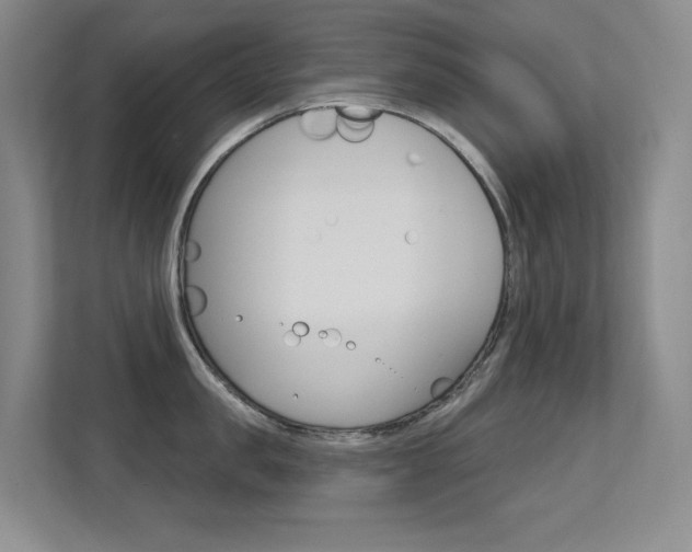 X0000112390957200908131341
