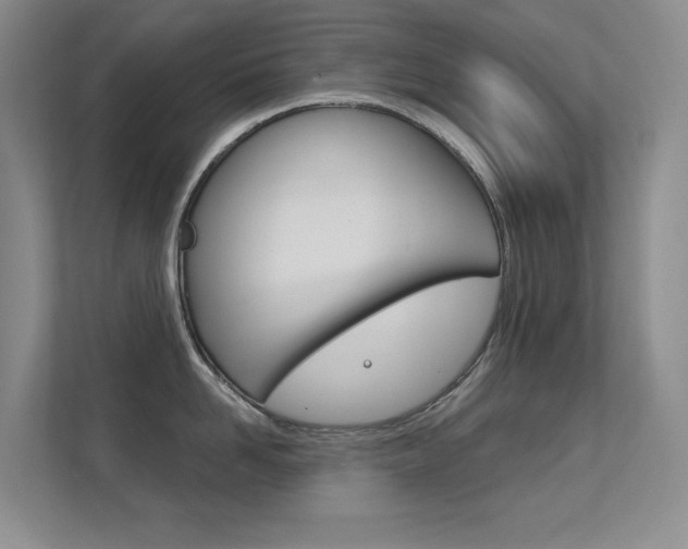 X0000112390958200908131341