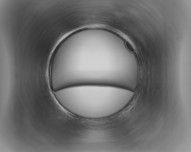 X0000112390959200908131341
