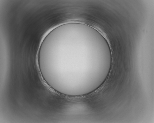 X0000112390960200908131341