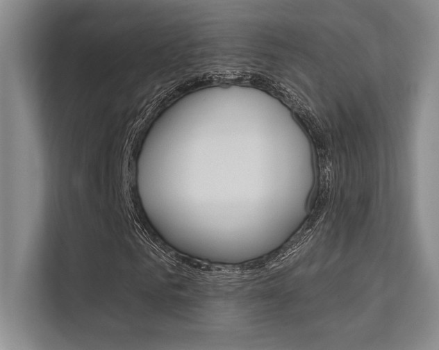 X0000112390961200908131340