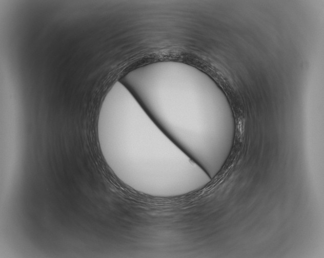 X0000112390963200908131340