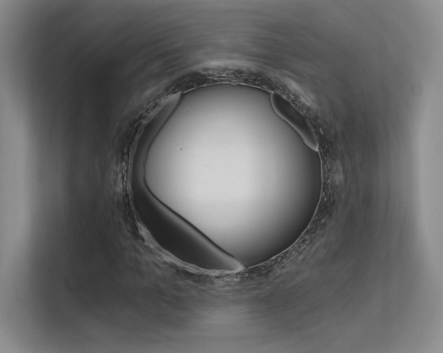 X0000112390965200908131340