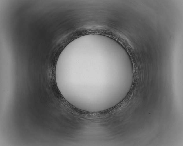 X0000112390966200908131340