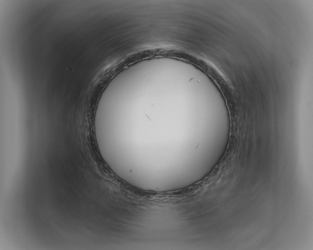 X0000112390967200908131340