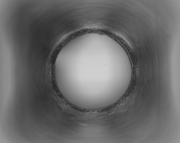 X0000112390968200908131340