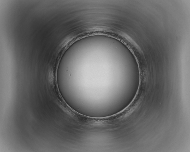 X0000112390969200908131340