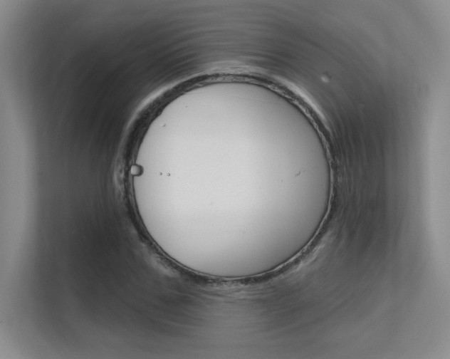 X0000112390971200908131340